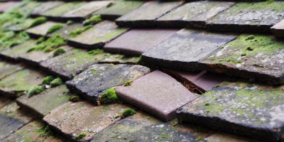 Kingham roof repair costs